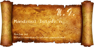 Mandzsul István névjegykártya