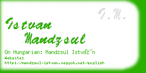 istvan mandzsul business card